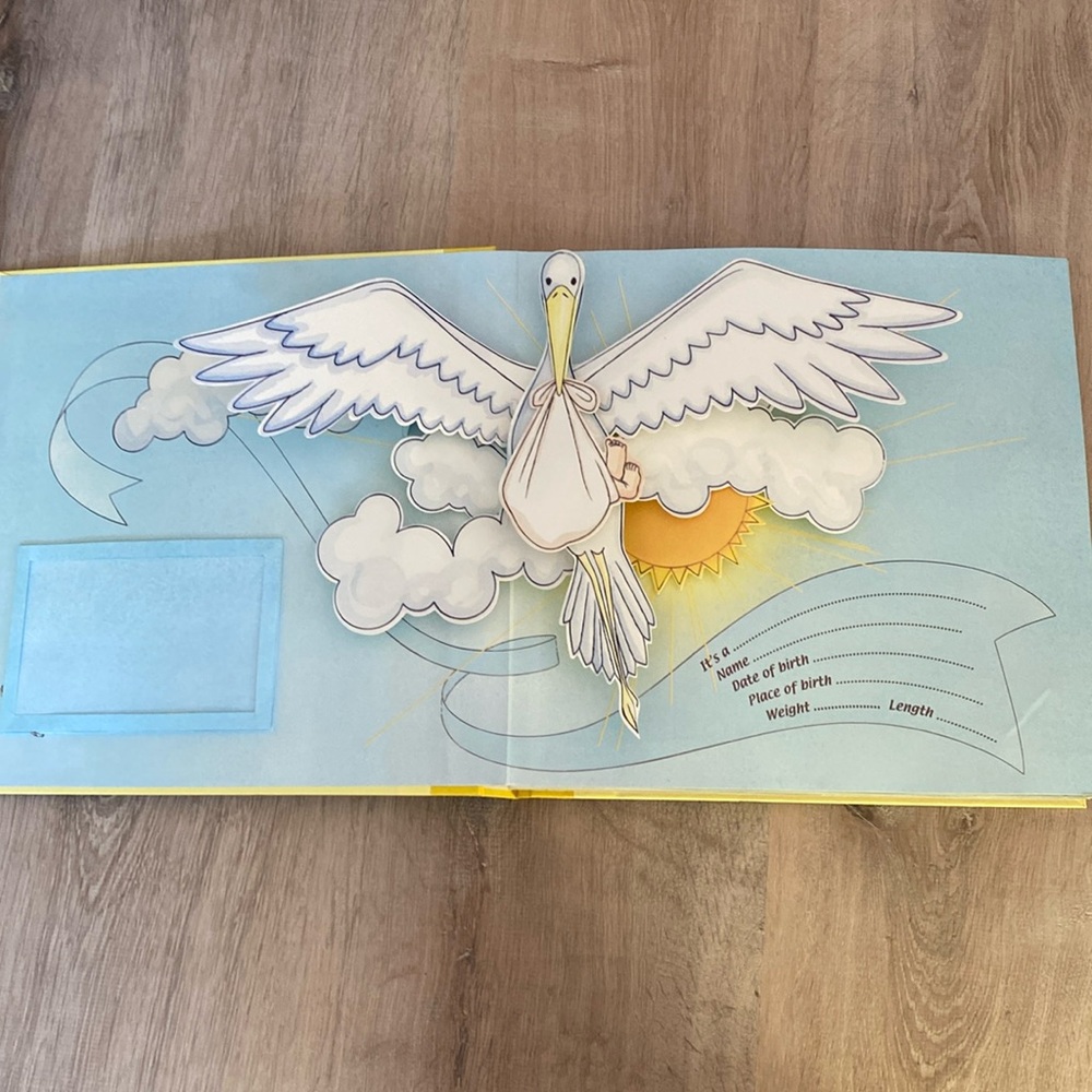 Sterling Pop Up Baby Photo Album - NIB